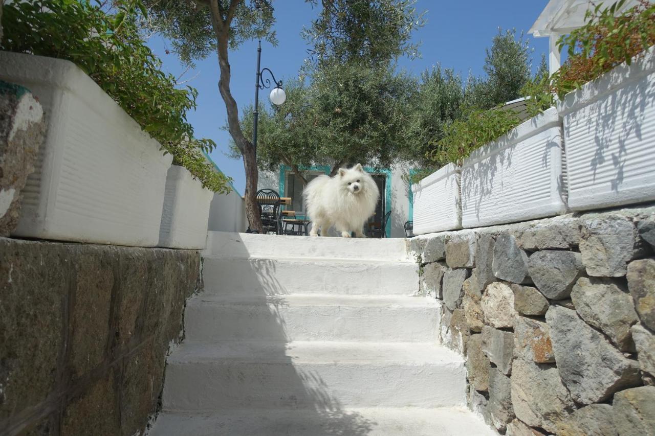 Il Capriccio Guesthouse Ponza Exterior foto
